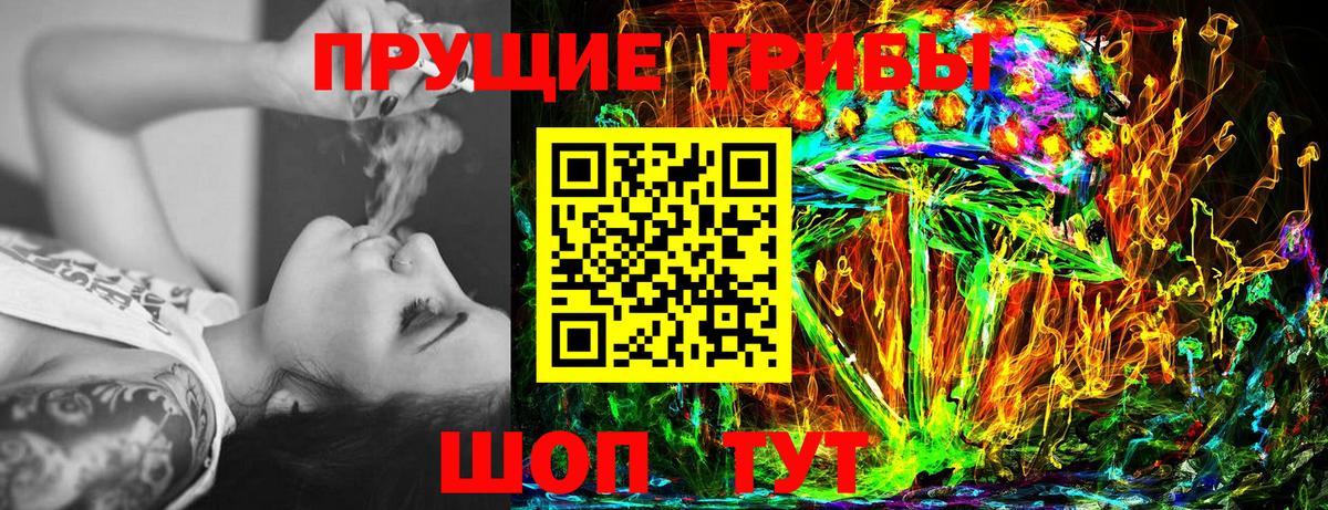 Галлюциногенные грибы Psilocybe Горячий Ключ